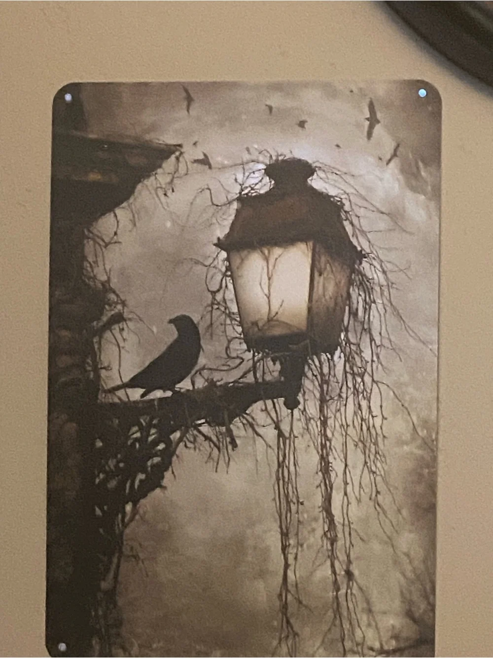 Source Unknown Raven Lantern Wall Art - Black, Brown